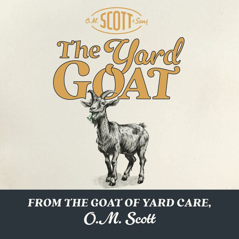 O.M. Scott & Sons™ Natural Grass Food image number null